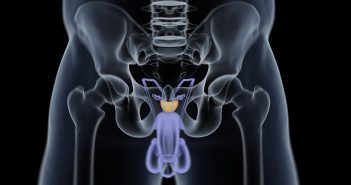 PROSTATA – viktig, plagsom og farlig